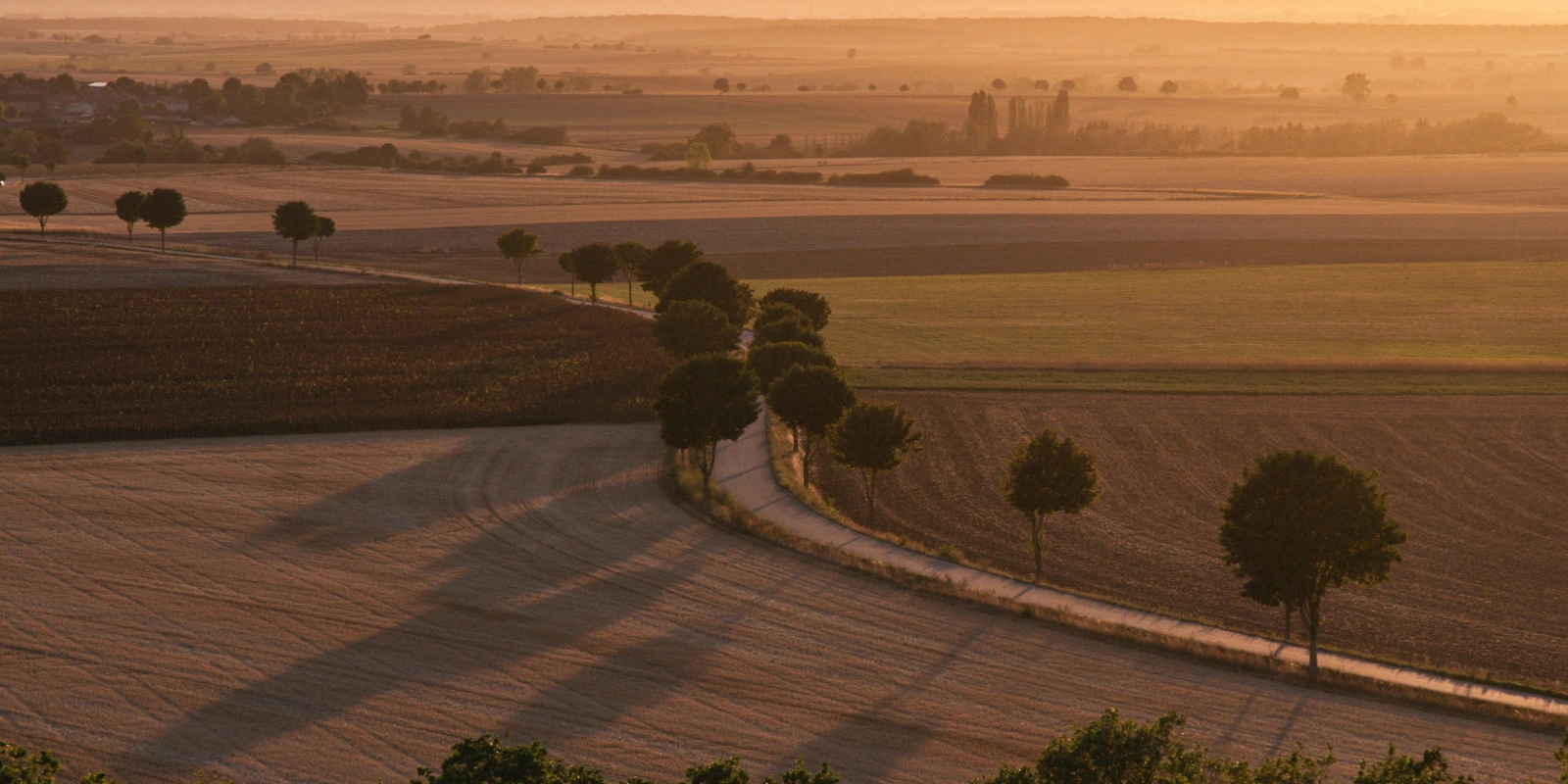 Apprendre à Distance : BTSA MV (Métiers du Végétal)
