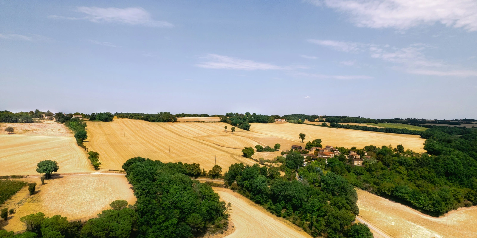 BTSA MV - 1 An de Formation