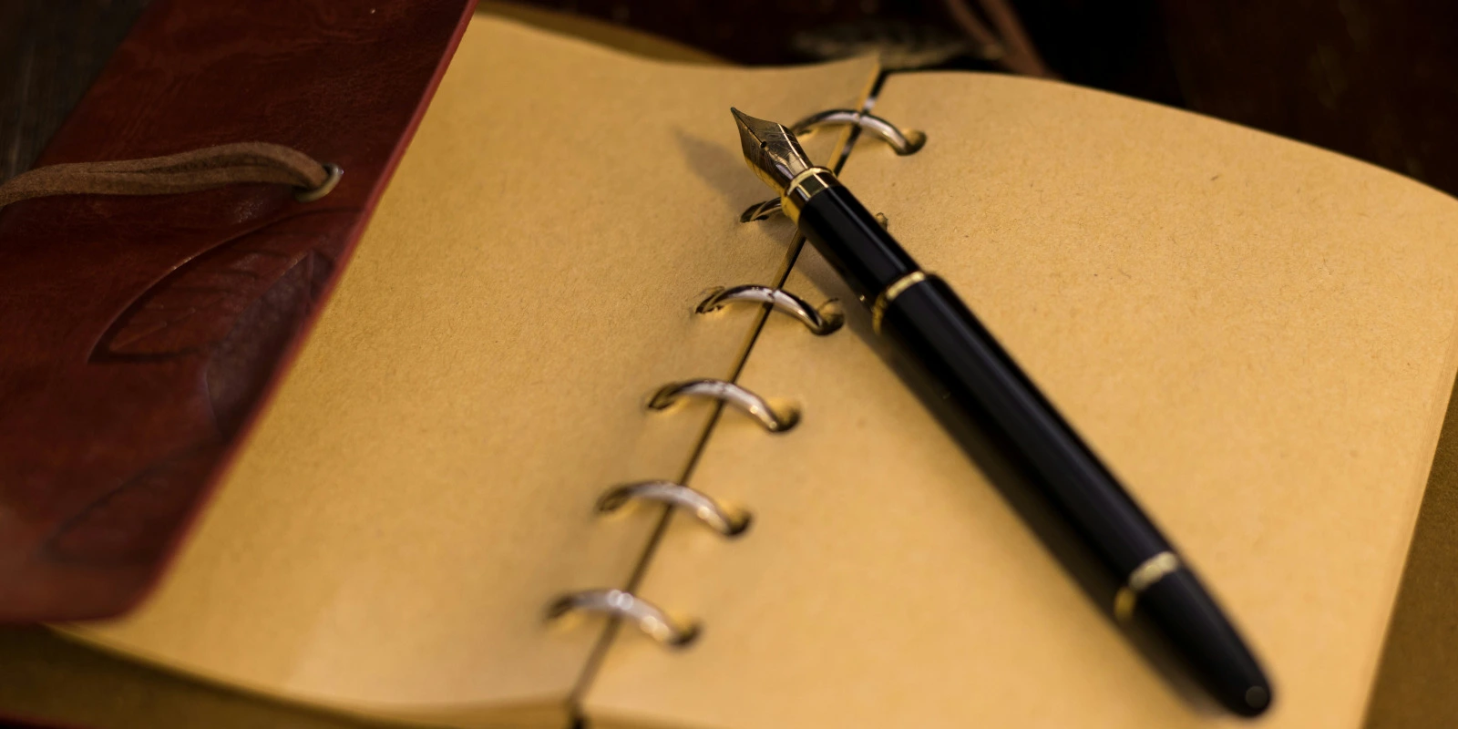 BTSA MV en Alternance à Toulouse